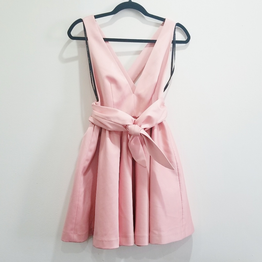 Rachel Zoe "Beck" dress in Rose